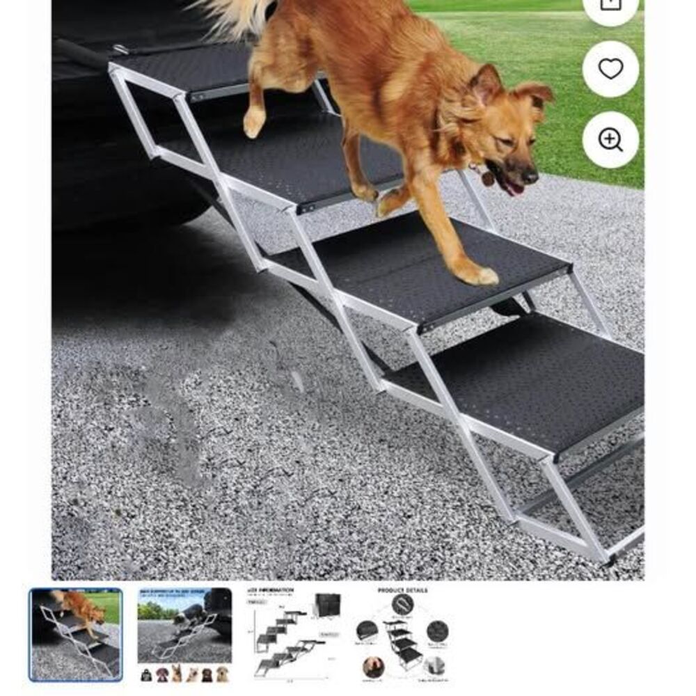 Dog Steps - Picture 4 of 4